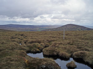 Wet bog land with deep pools of water