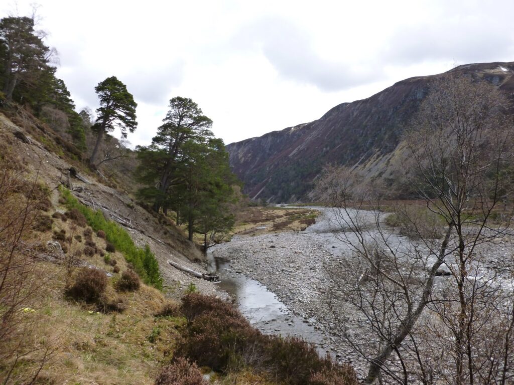 Glen Feshie beyond the bothy