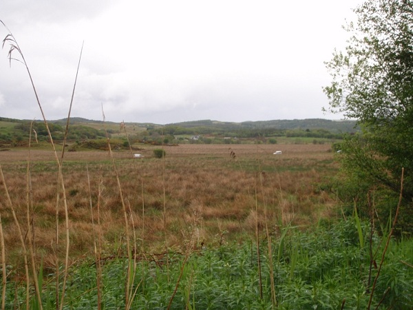 Boggy ground by Crinan Canal