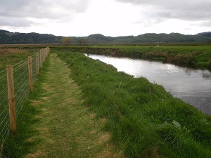 Grassy path by the River Add