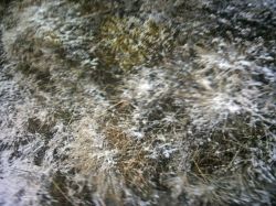 Snow blowing under the flysheet