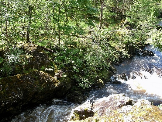 Possible site for Macgregor's Leap over rushing river