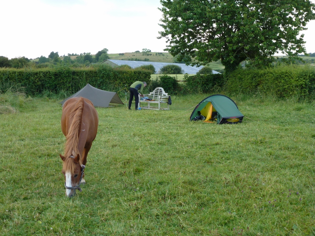 Our Camp at Foxlynch with pony in field