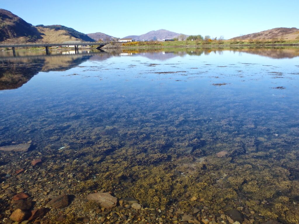 View along calm sunlit loch