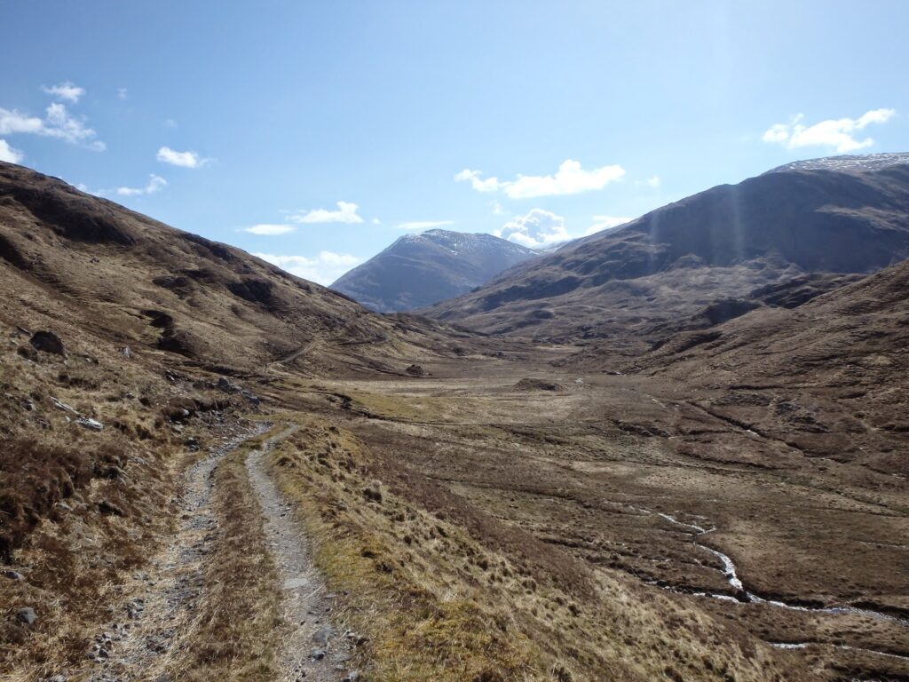 Track through wild country