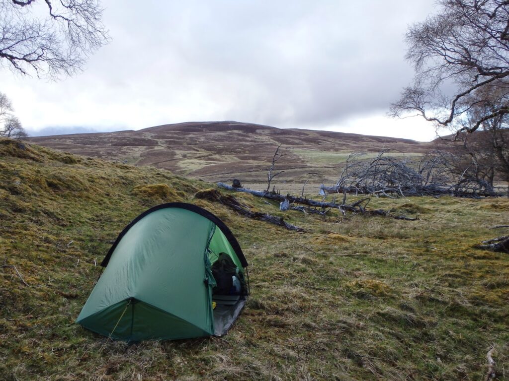 Louise's tent pitched