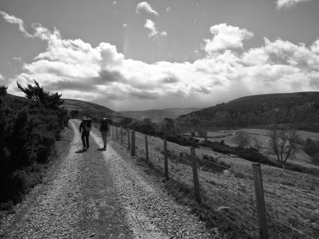 Track with walkers ahead