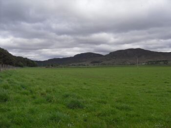 Pleasant countryside by the road