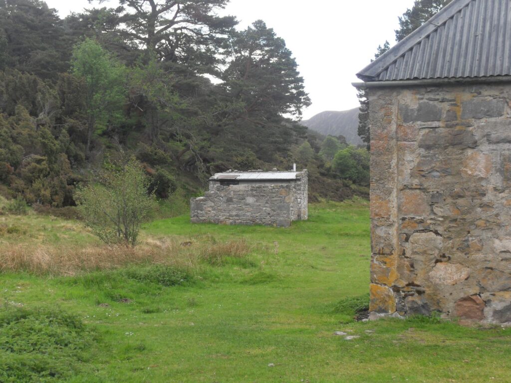 Toilet building