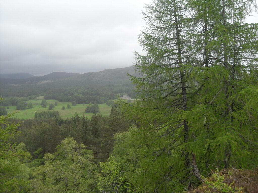 Invercauld House viewed from above through trees