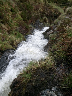 A swollen mountain stream thunders through a gorge