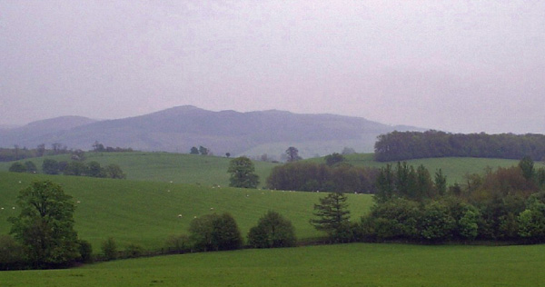 Sharp Haw