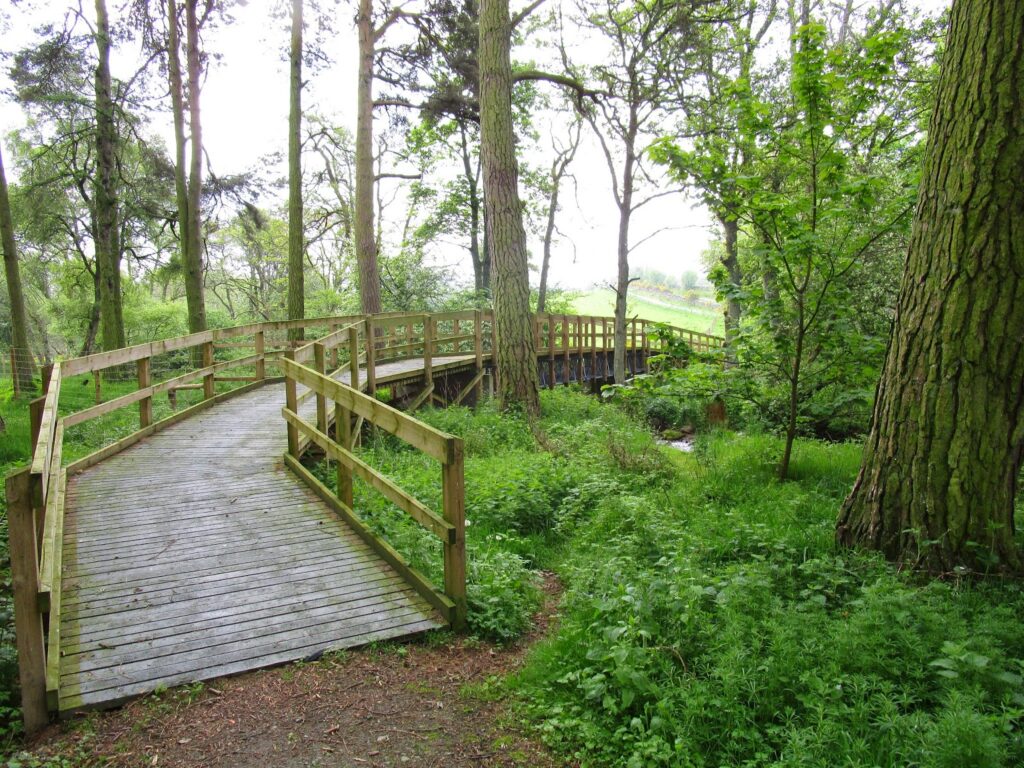 Bridge with timber clad approach and sturdy hand rails