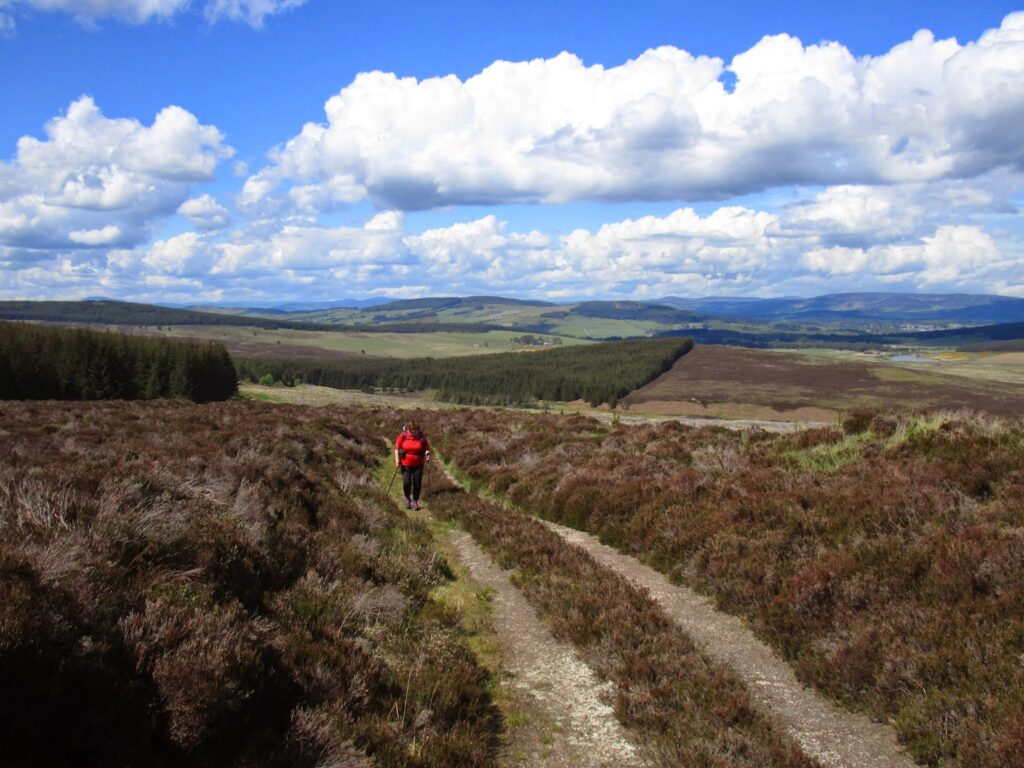 Vicky on the forest track