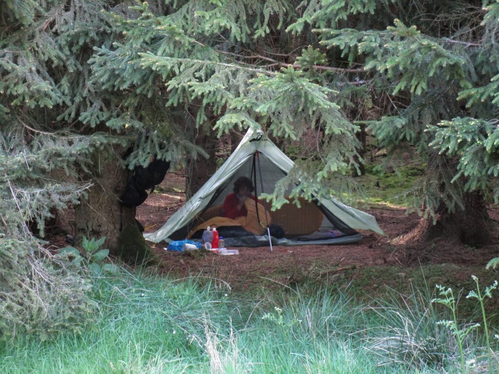 Camp site in the trees